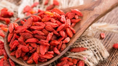 Well-Being Advantages Of Goji Berry