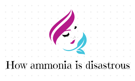 ammonia free hair color