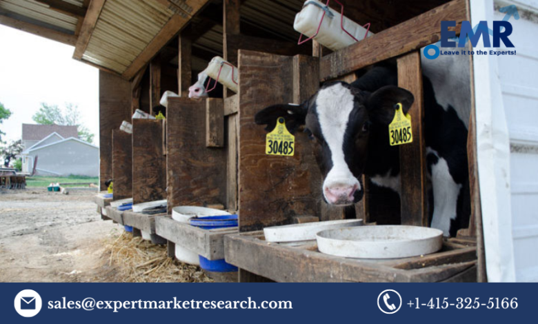 Animal Feeding Equipment Market Size
