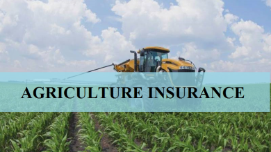 Agricultural Insurance in Pakistan: Protecting Farmers