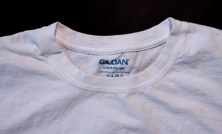 Gildan G800