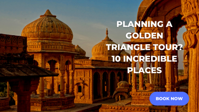 Planning a Golden Triangle Tour 10 Incredible Places