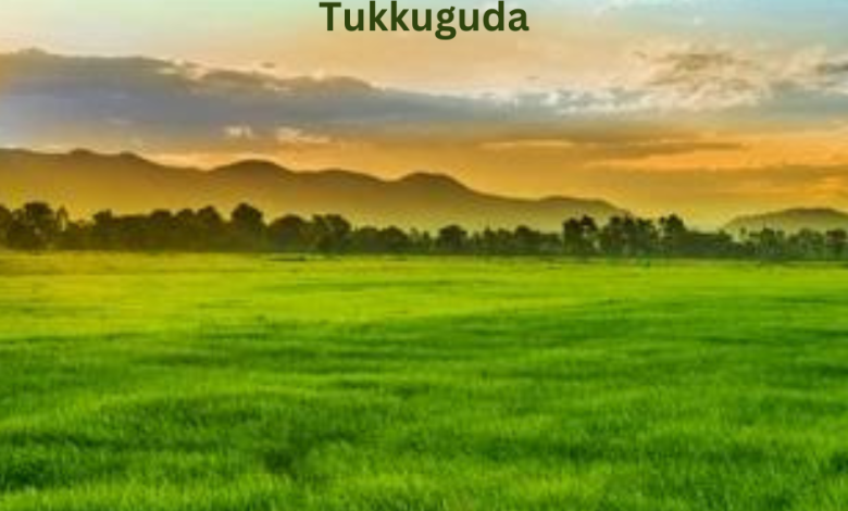 Tukkuguda