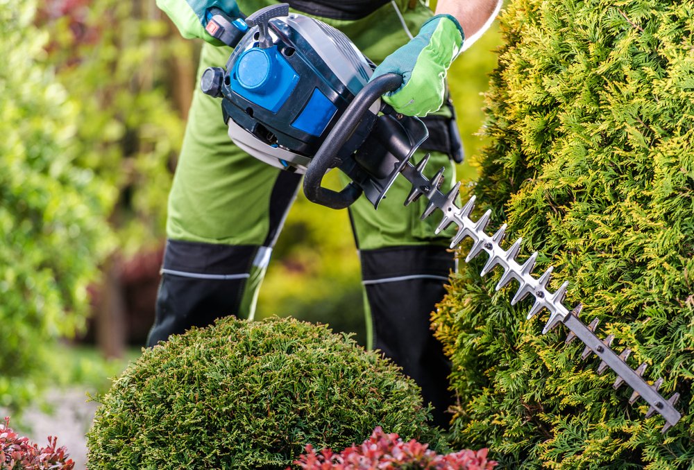 hedge trimmer australia
