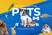 nutrition and diet for exotic pets