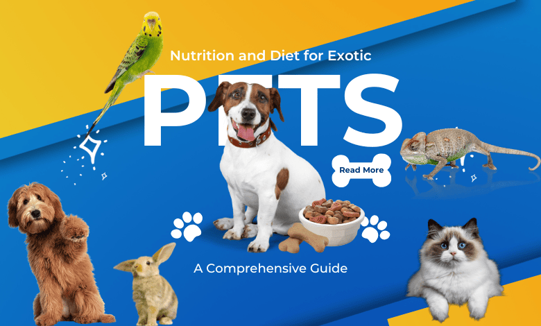 nutrition and diet for exotic pets