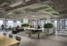 Biophilic office interior featuring open collaboration space, indoor greenery, and modern sustainable architectural design